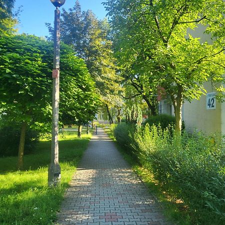 Przytulne Mieszkanie Wola Duchacka Lejlighed Kraków Eksteriør billede
